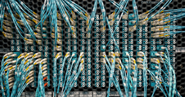 Cat6 - (LAN 350) Cable - 图片 3