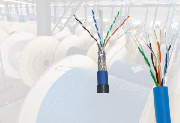 cat6